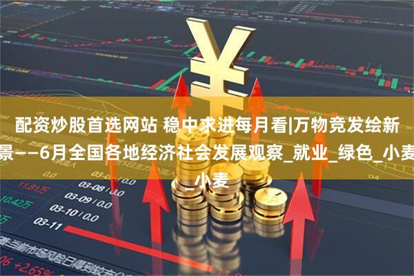配资炒股首选网站 稳中求进每月看|万物竞发绘新景——6月全国各地经济社会发展观察_就业_绿色_小麦