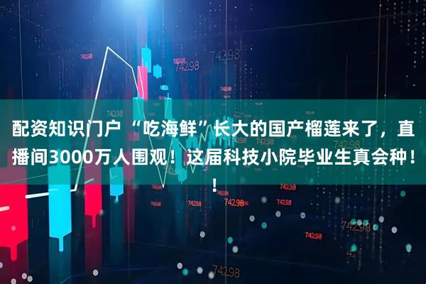 配资知识门户 “吃海鲜”长大的国产榴莲来了，直播间3000万人围观！这届科技小院毕业生真会种！
