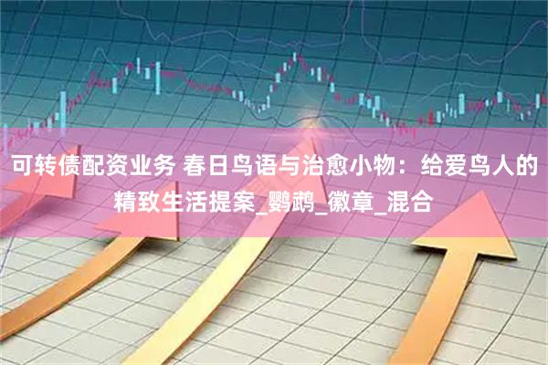 可转债配资业务 春日鸟语与治愈小物：给爱鸟人的精致生活提案_鹦鹉_徽章_混合
