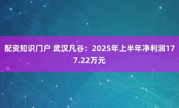 配资知识门户 武汉凡谷：2025年上半年净利润177.22万元