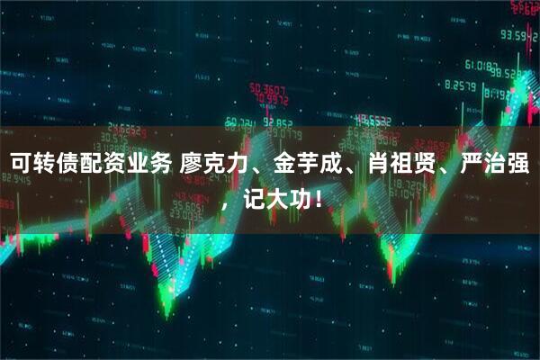 可转债配资业务 廖克力、金芋成、肖祖贤、严治强，记大功！
