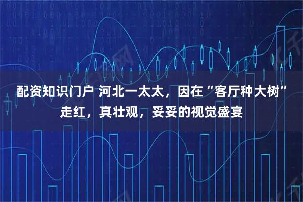 配资知识门户 河北一太太，因在“客厅种大树”走红，真壮观，妥妥的视觉盛宴