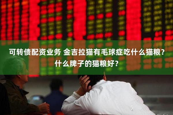 可转债配资业务 金吉拉猫有毛球症吃什么猫粮？什么牌子的猫粮好？